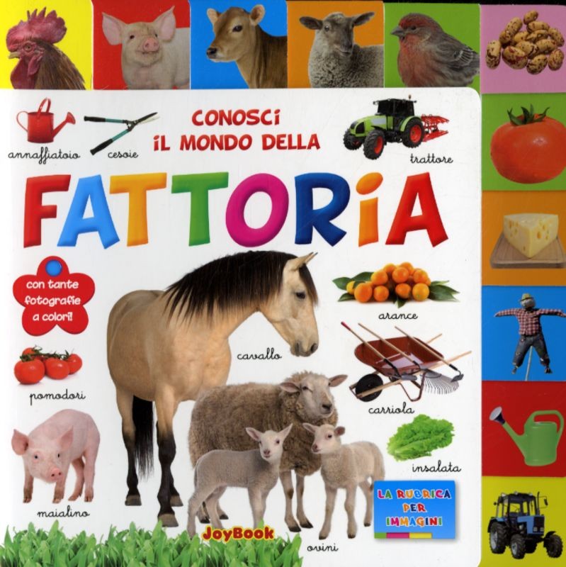 CONOSCI IL MONDO DELLA FATTORIA