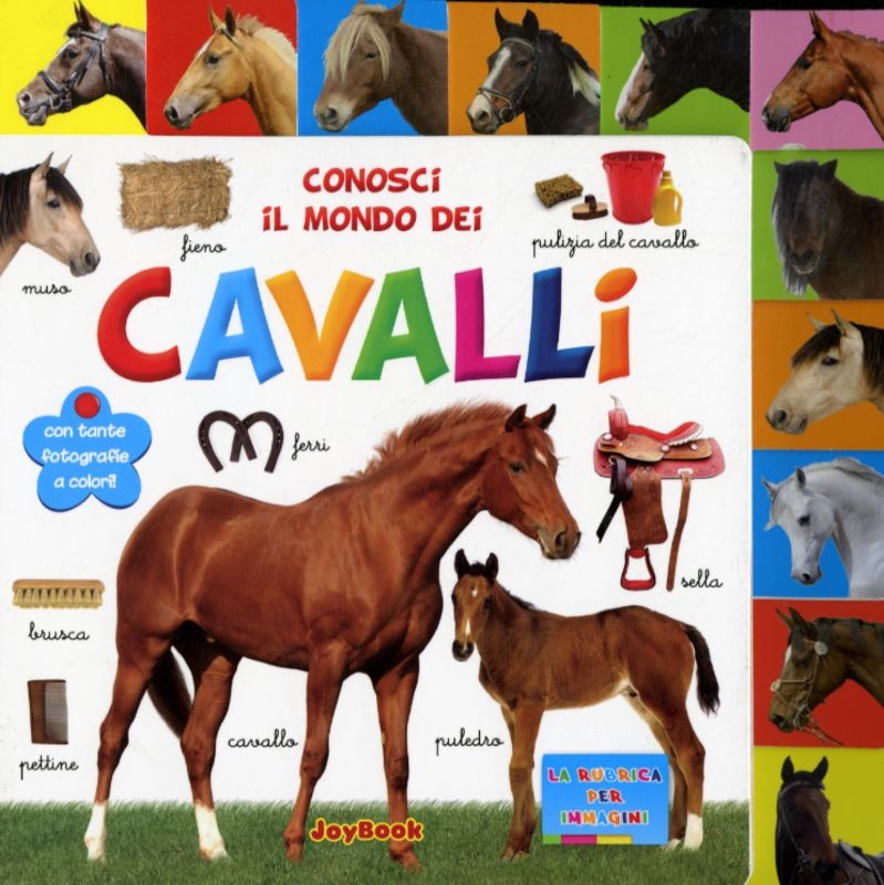 CONOSCI IL MONDO DEI CAVALLI