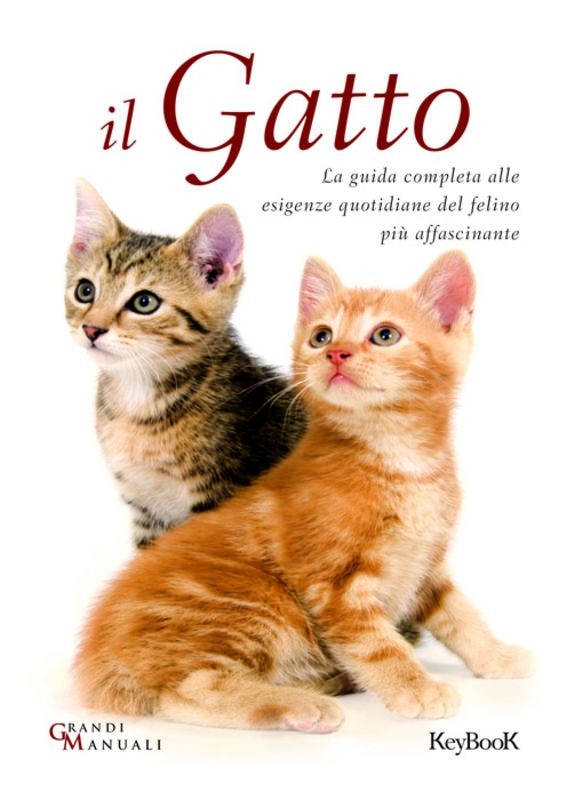 GATTO (IL)
