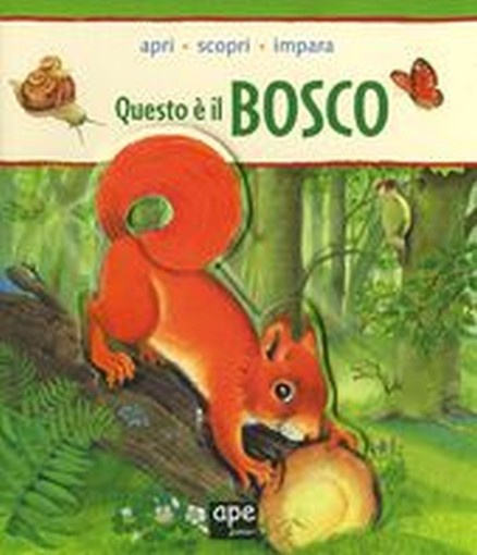 QUESTO E' IL BOSCO