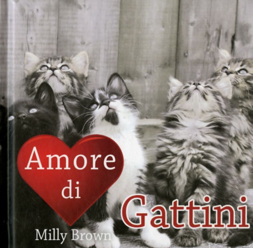 AMORE DI GATTINI