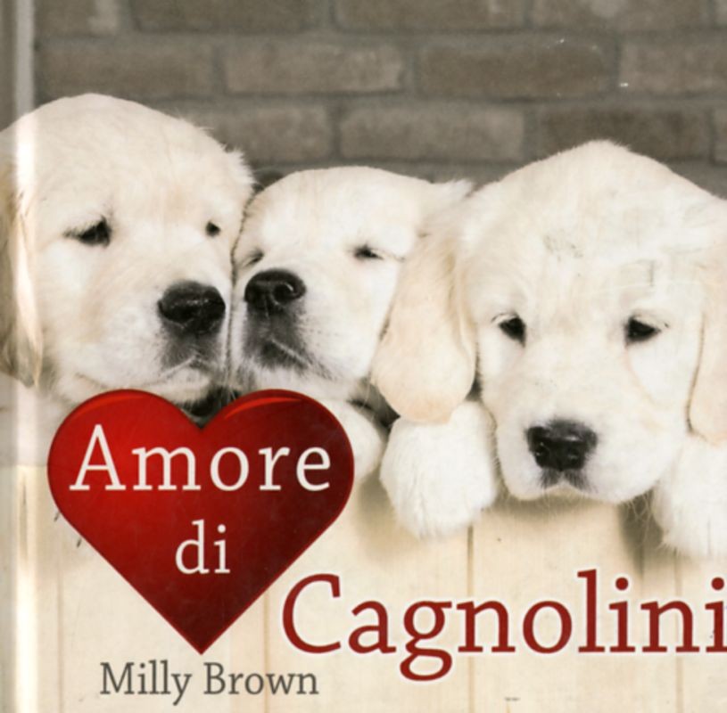 AMORE DI CAGNOLINI