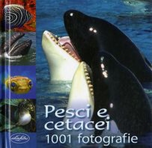 PESCI E CETACEI