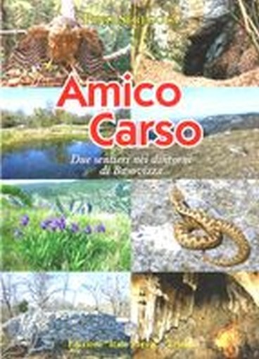 AMICO CARSO