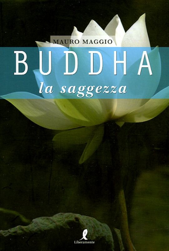 BUDDHA LA SAGGEZZA
