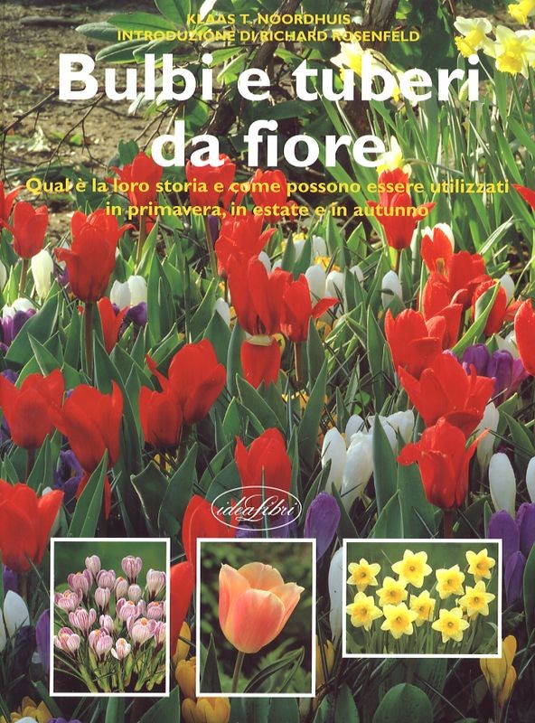 BULBI E TUBERI DA FIORE