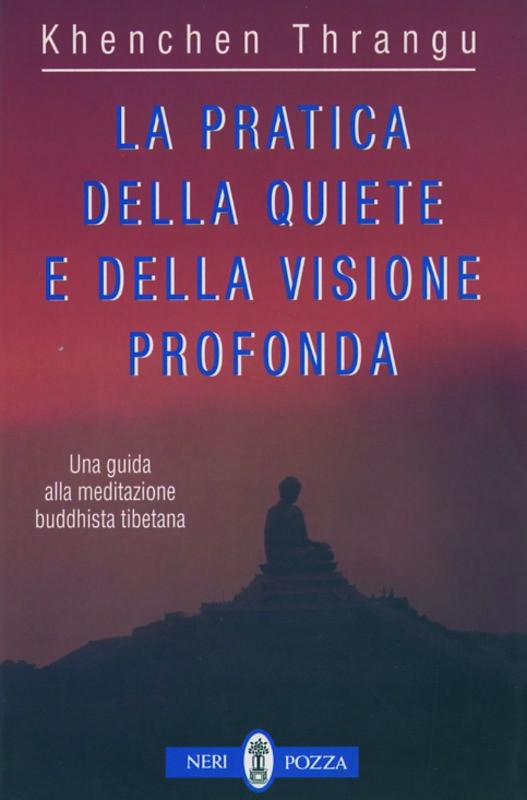 PRATICA DELLA QUIETE E DELLA VISION