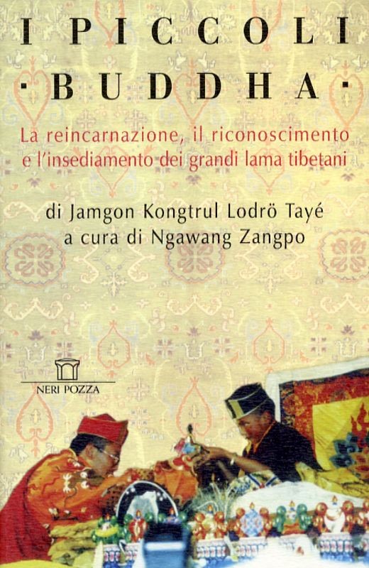 PICCOLI BUDDHA (I)