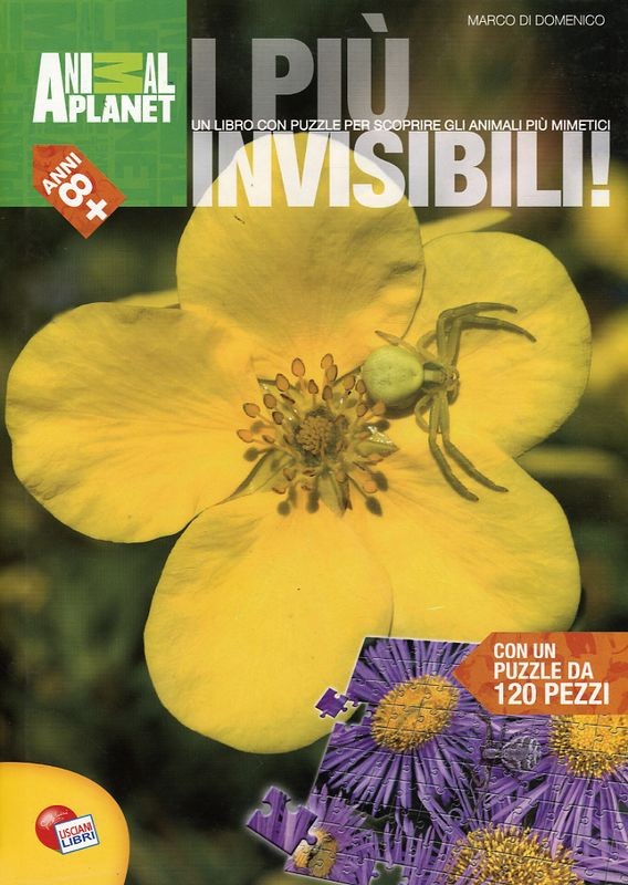 PIU' INVISIBILI (I)