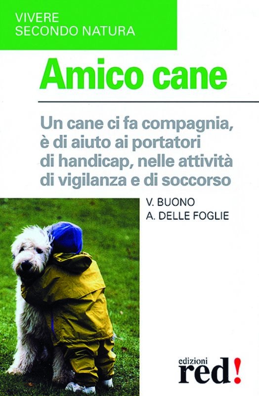 AMICO CANE