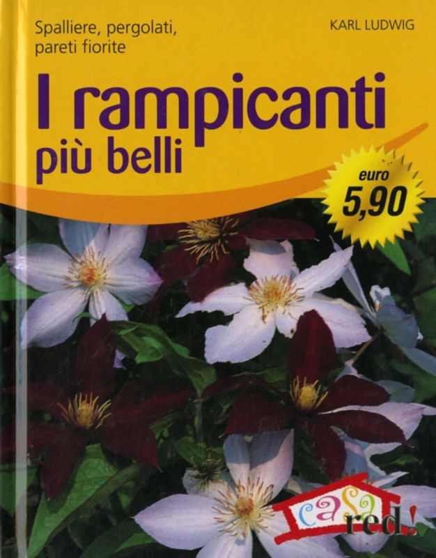 RAMPICANTI PIU' BELLI (I)