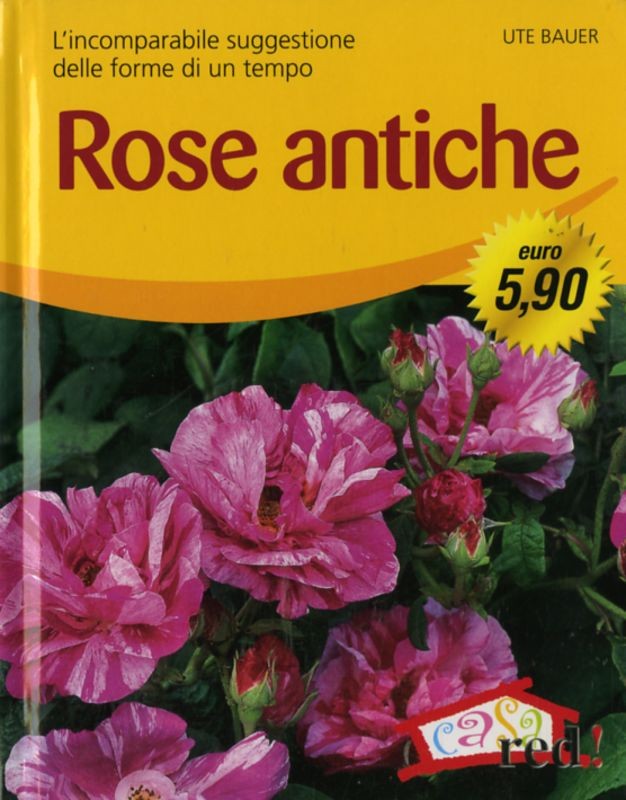 ROSE ANTICHE