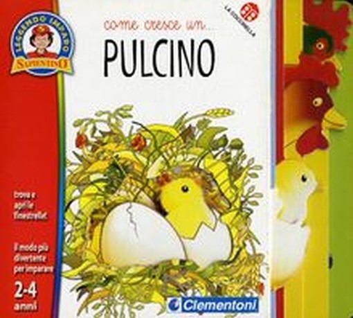 COME CRESCE UN PULCINO