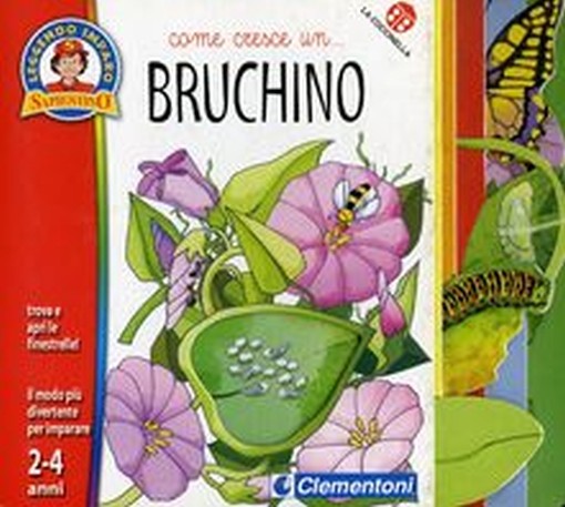 COME CRESCERE UN BRUCHINO