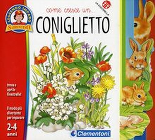 COME CRESCERE UN CONIGLIETTO