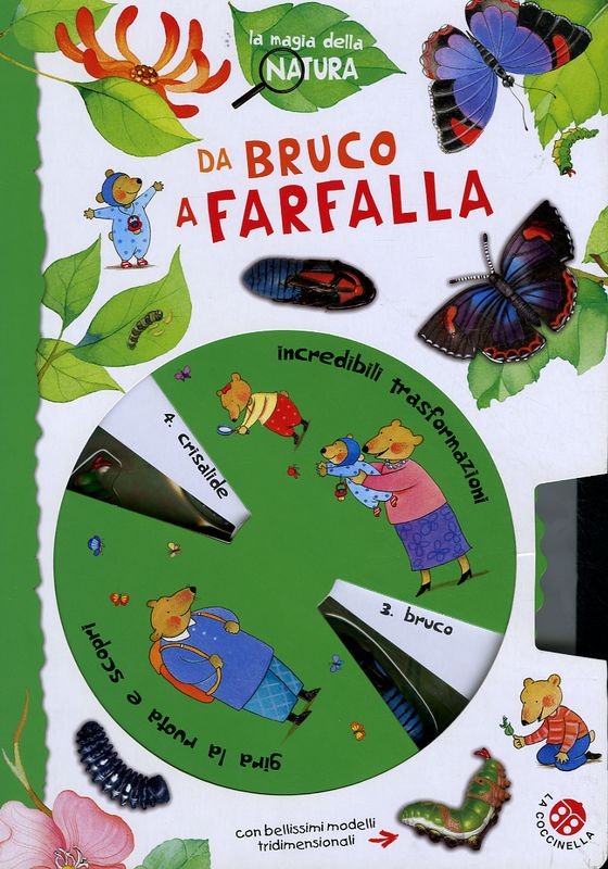 DA BRUCO A FARFALLA