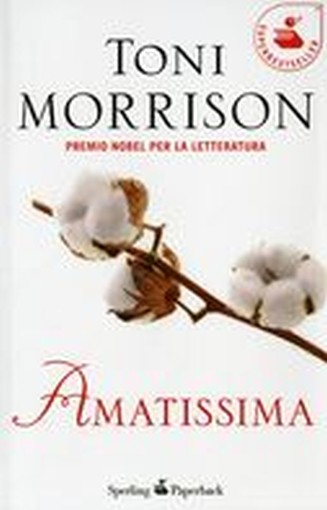 AMATISSIMA