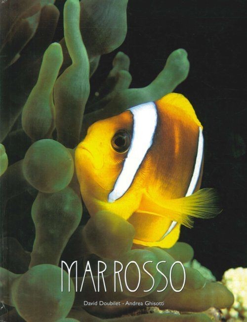 MAR ROSSO Doubilet David