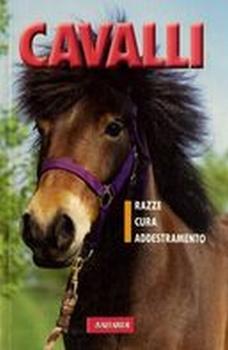 CAVALLI
