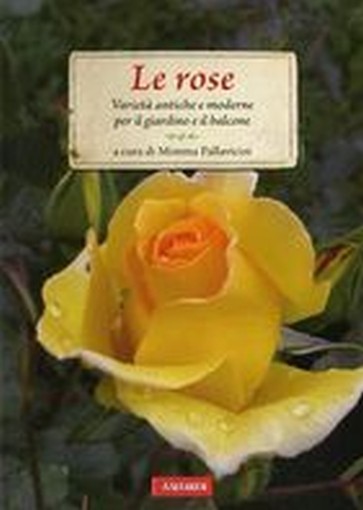ROSE (LE)