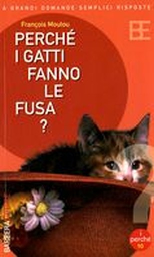 PERCHE' I GATTI FANNO LE FUSA ?