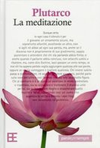 MEDITAZIONE (LA)