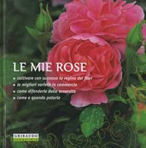 MIE ROSE (LE)