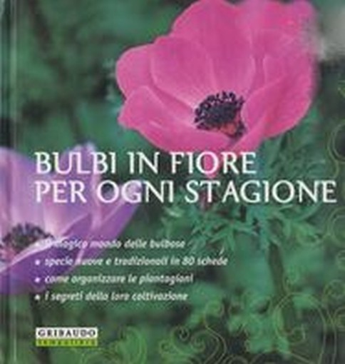 BULBI IN FIORE PER OGNI STAGIONE