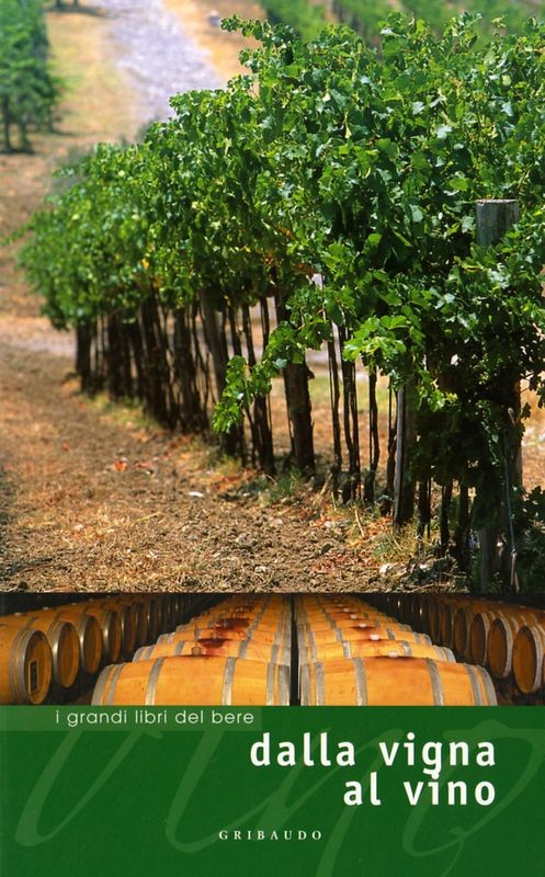 DALLA VIGNA AL VINO
