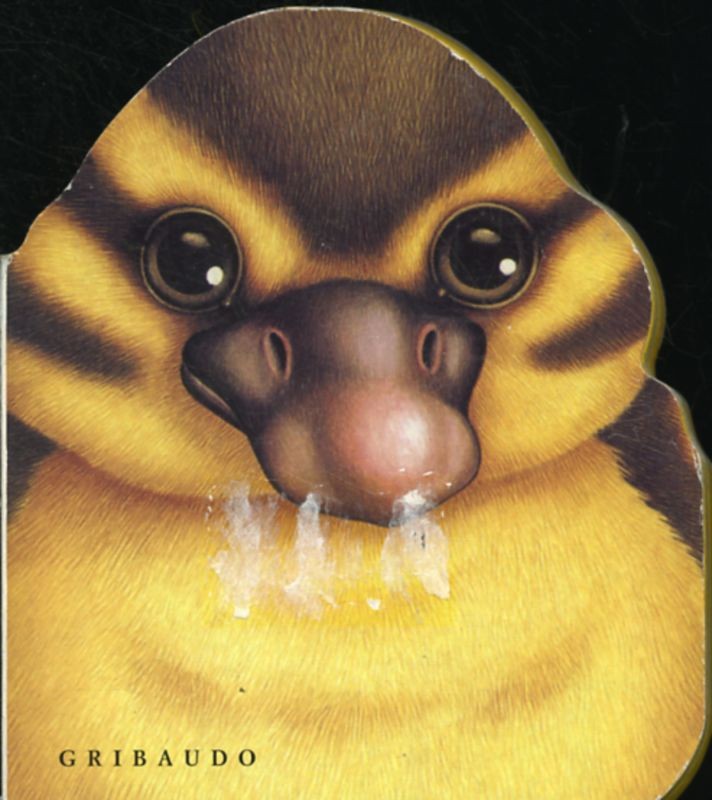 ANATROCCOLO (L')
