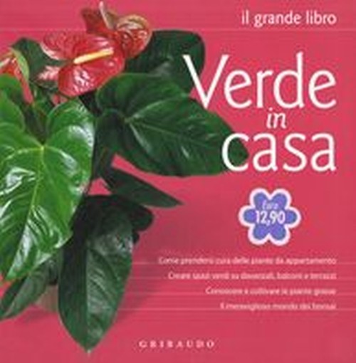 GRANDE LIBRO VERDE IN CASA aa.vv