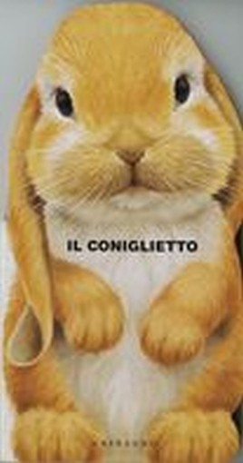 CONIGLIETTO (IL)