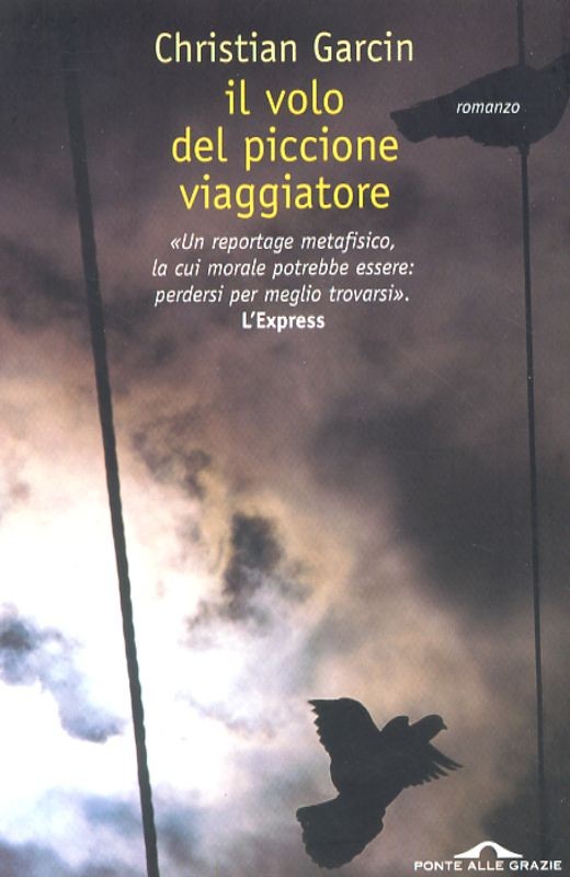 VOLO DEL PICCIONE VIAGGIATORE (IL)