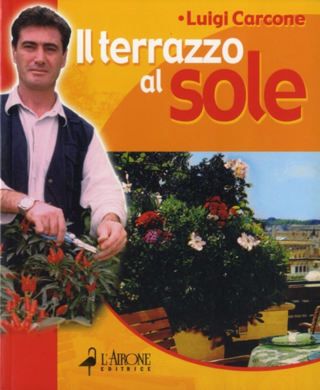 TERRAZZO AL SOLE (IL)