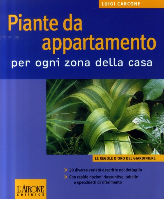 PIANTE DA APPARTAMENTO