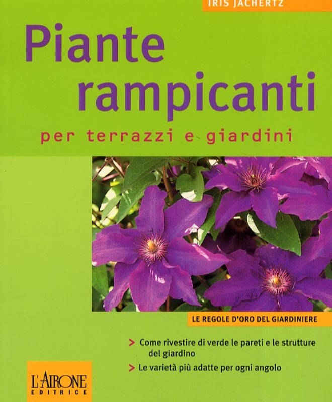 PIANTE RAMPICANTI