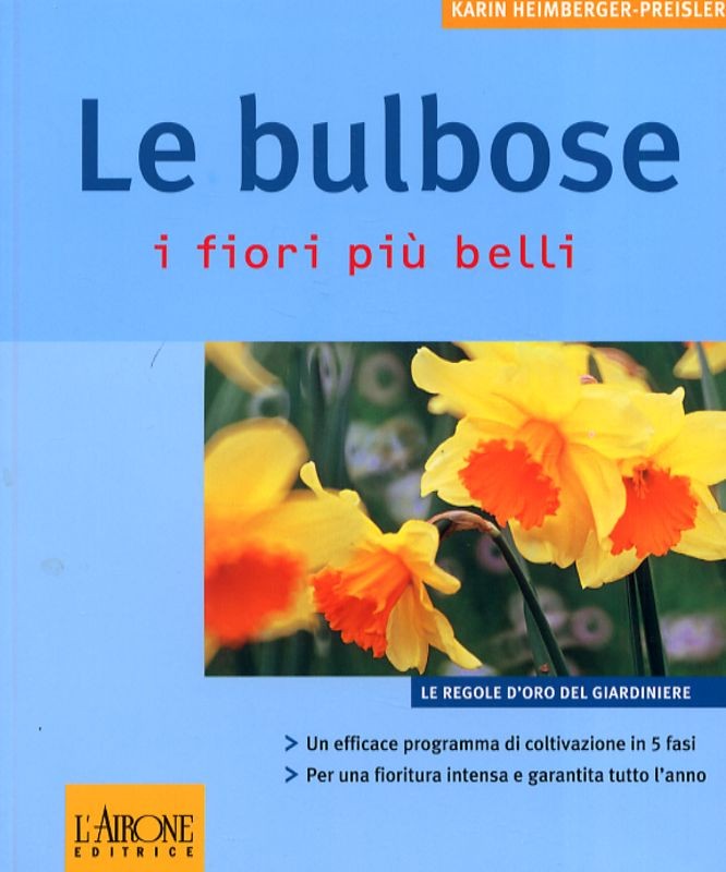 BULBOSE (LE)