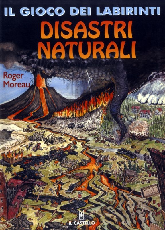 DISASTRI NATURALI
