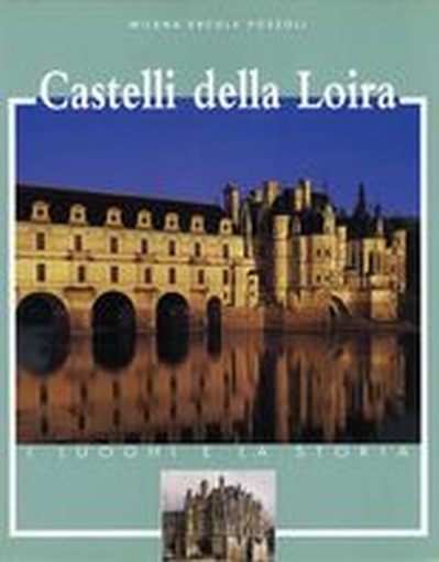 CASTELLI DELLA LOIRA