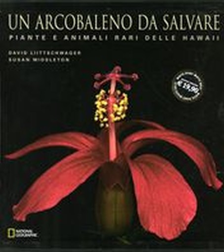 ARCOBALENO DA SALVARE (UN)