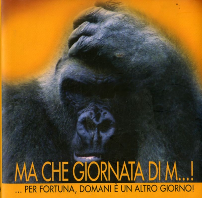 MA CHE GIORNATA DI M...!