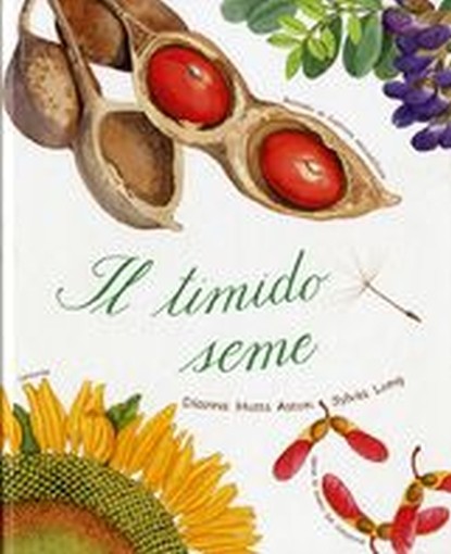 TIMIDO SEME (IL)