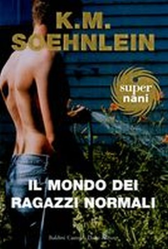 MONDO DEI RAGAZZI NORMALI (IL)