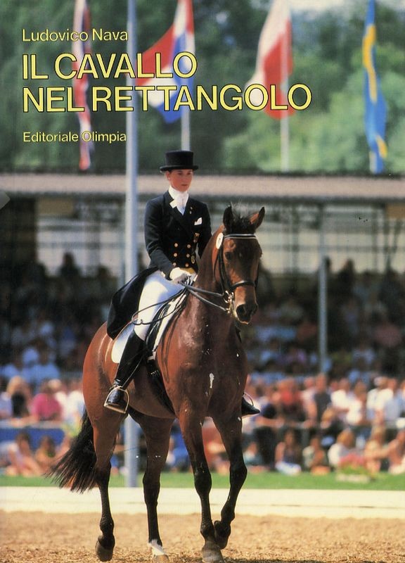 CAVALLO NEL RETTANGOLO (IL)