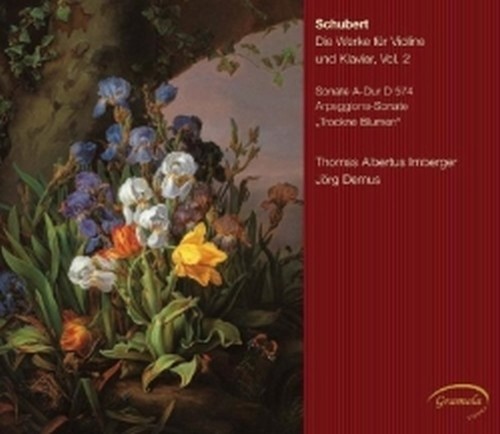Opere per violino e pianoforte, Vol.2: Grand Duo D 574, Sonata 'Arpeggione'  SCHUBERT FRANZ