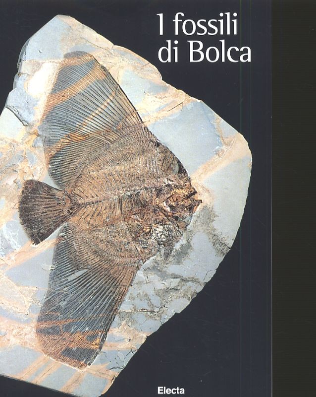 FOSSILI DI BOLCA (I)
