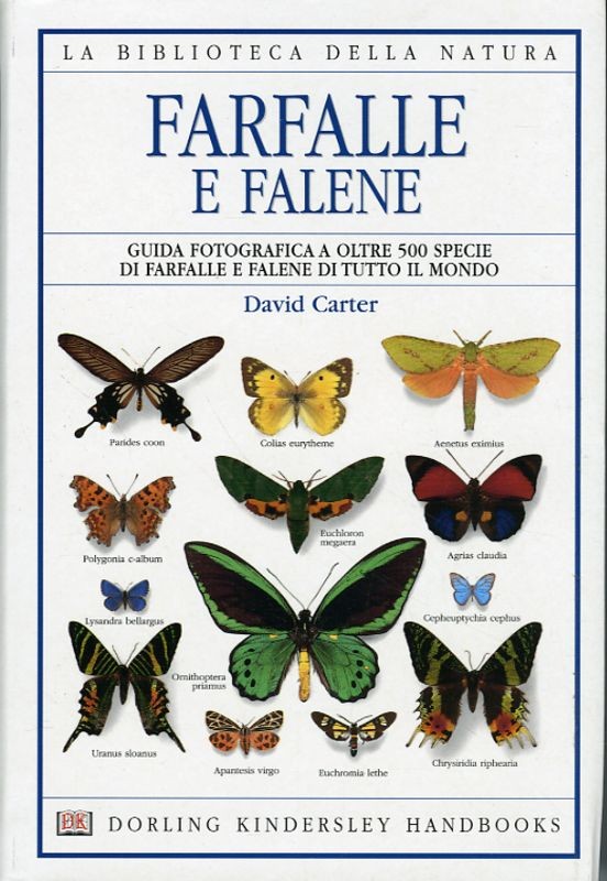 FARFALLE E FALENE