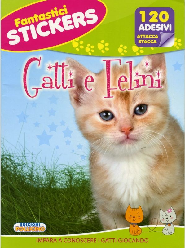 GATTI E FELINI