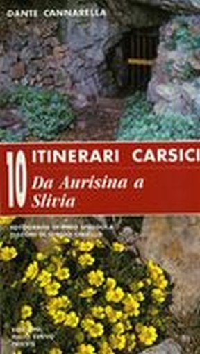 ITINERARI CARSICI DA AURISINA A SLI