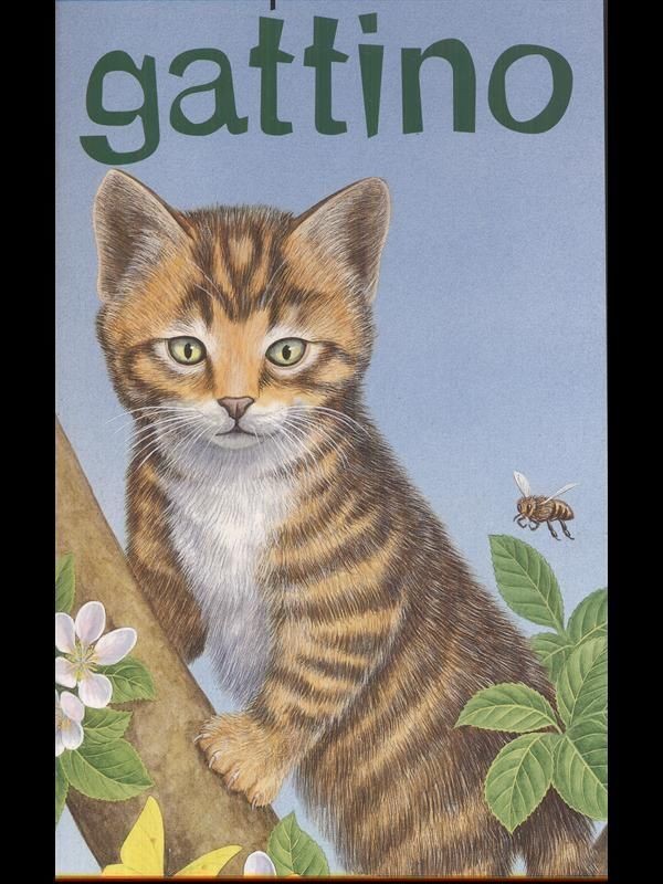 PICCOLO GATTINO (IL)